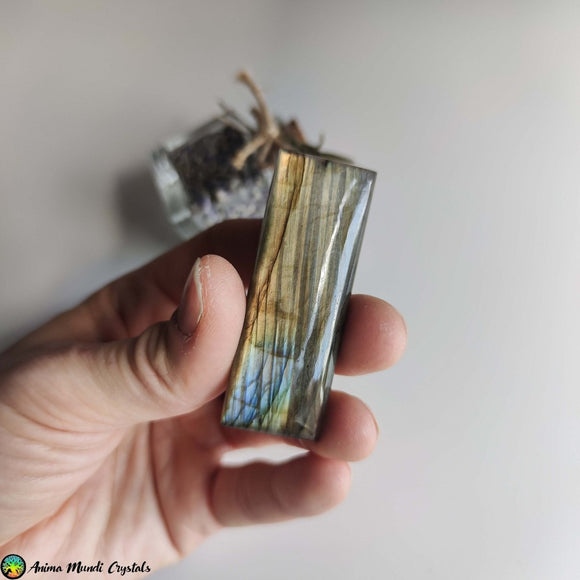 Big Rectangular Labradorite Cabochon NR 1 - Anima Mundi Crystals