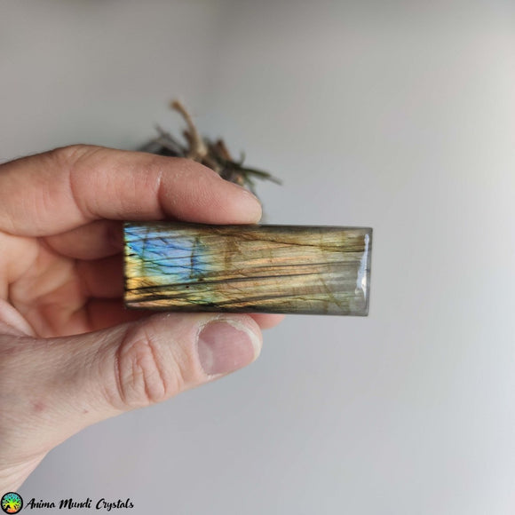 Big Rectangular Labradorite Cabochon NR 1 - Anima Mundi Crystals