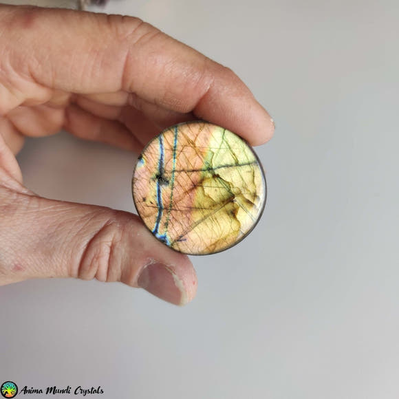 Big Round Labradorite Cabochon NR 1 - Anima Mundi Crystals