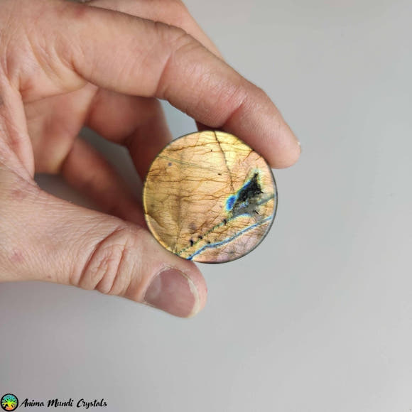 Big Round Labradorite Cabochon NR 1 - Anima Mundi Crystals
