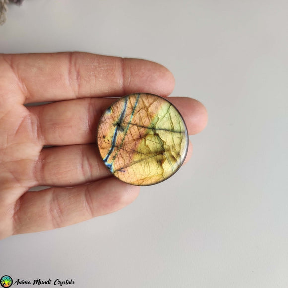 Big Round Labradorite Cabochon NR 1 - Anima Mundi Crystals