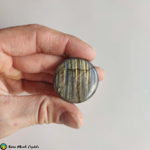 Big Round Labradorite Cabochon NR 2 - Anima Mundi Crystals