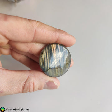 Big Round Labradorite Cabochon NR 2 - Anima Mundi Crystals