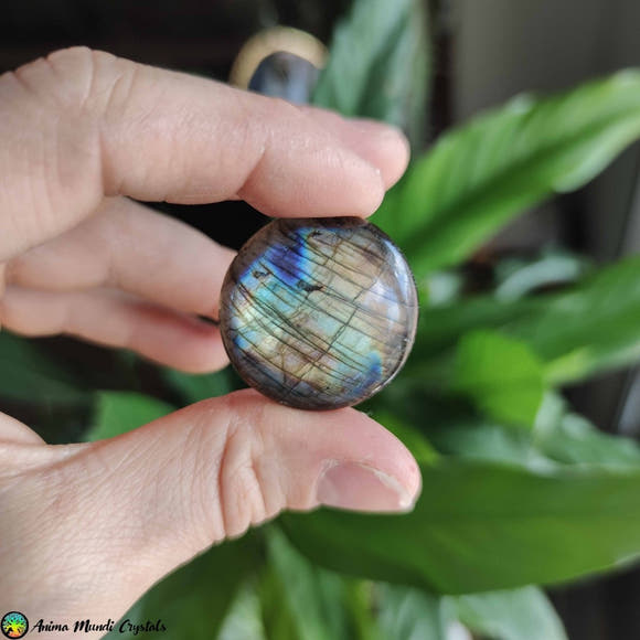 Big Round Labradorite Cabochon NR 3 - Anima Mundi Crystals