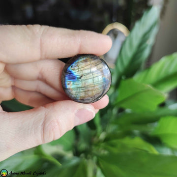 Big Round Labradorite Cabochon NR 3 - Anima Mundi Crystals