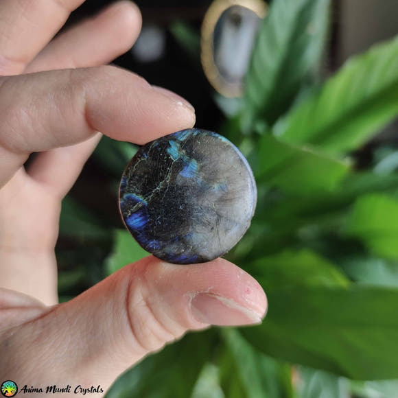 Big Round Labradorite Cabochon NR 3 - Anima Mundi Crystals