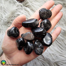 Black Onyx Tumble - Anima Mundi Crystals