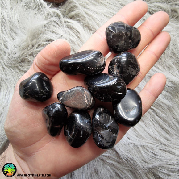 Black Onyx Tumble - Anima Mundi Crystals