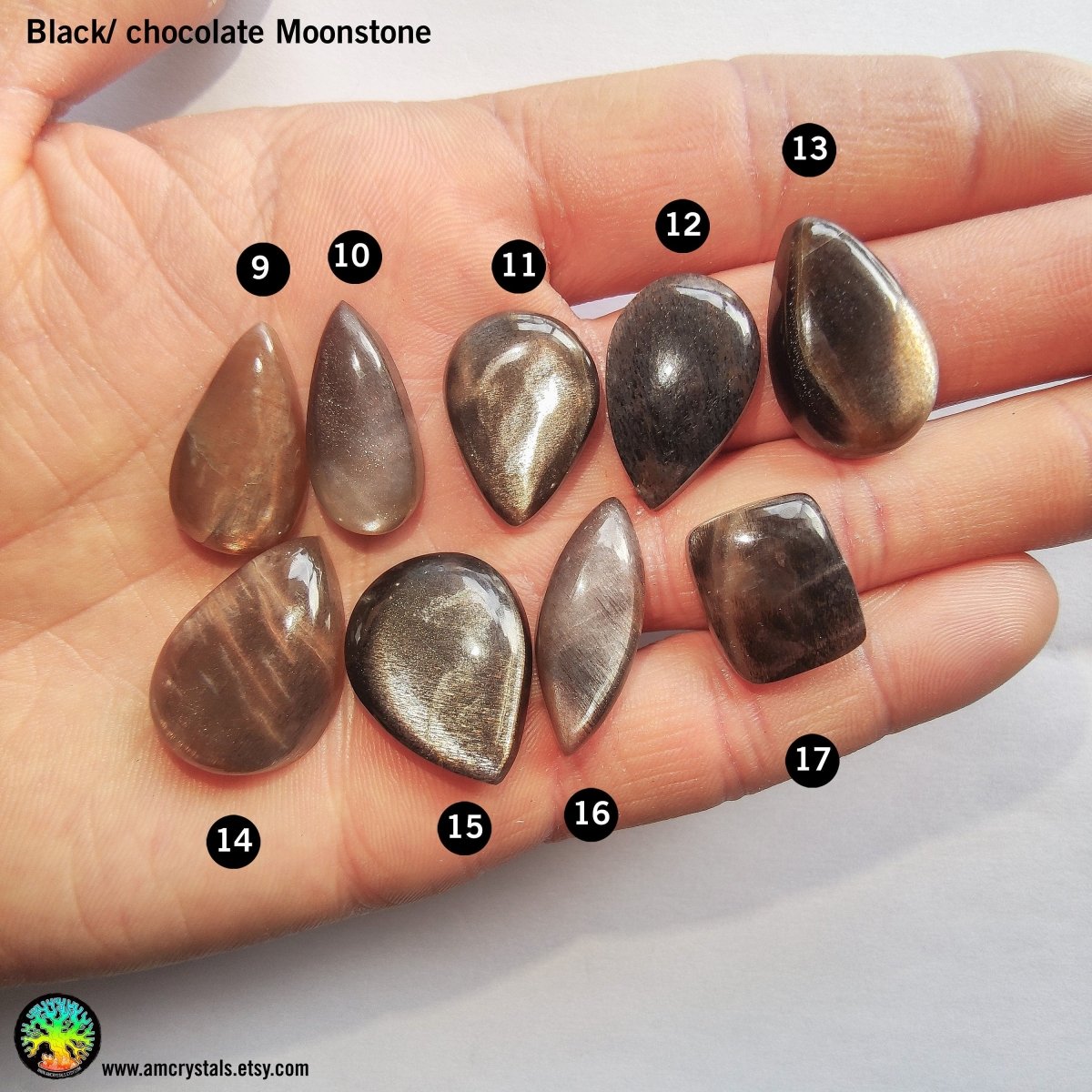 Black Sunstone Cabochons Mix Shapes - Anima Mundi Crystals