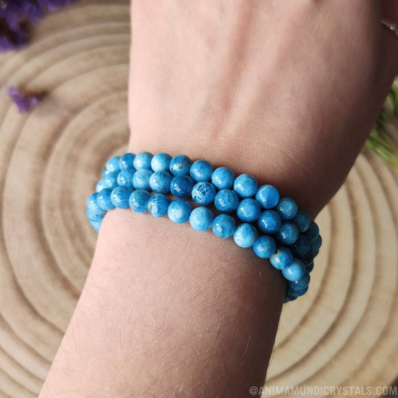 Blue Apatite Bracelet 6mm - Anima Mundi Crystals