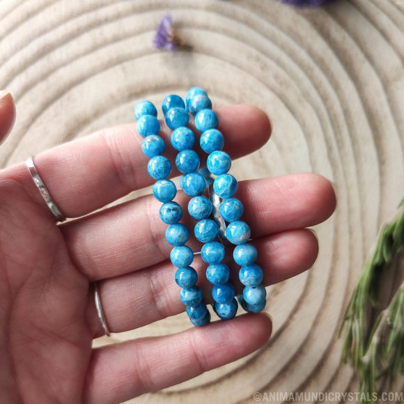 Blue Apatite Bracelet 6mm - Anima Mundi Crystals