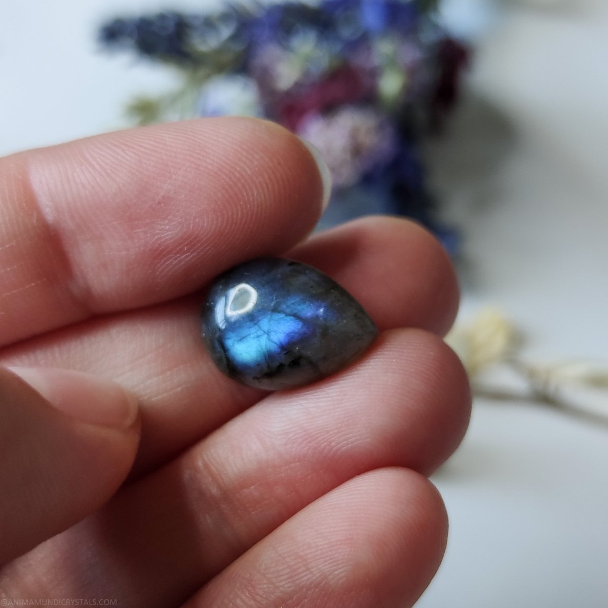 Cabujón de labradorita azul - Forma de lágrima - Cristales Anima Mundi