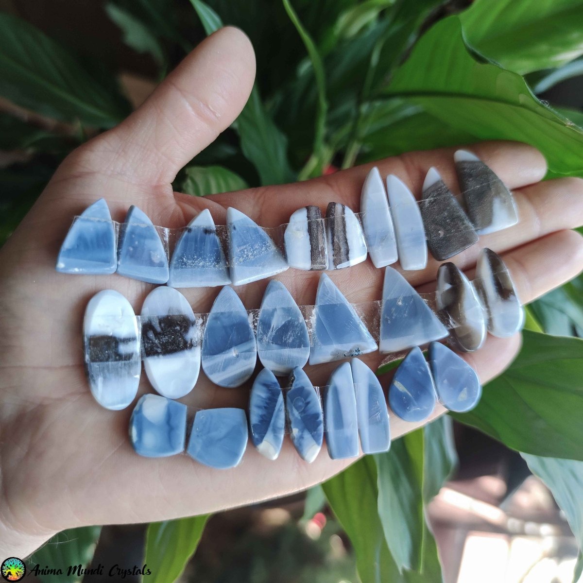 Blue Owyhee Opal Cabochon Pairs - Anima Mundi Crystals