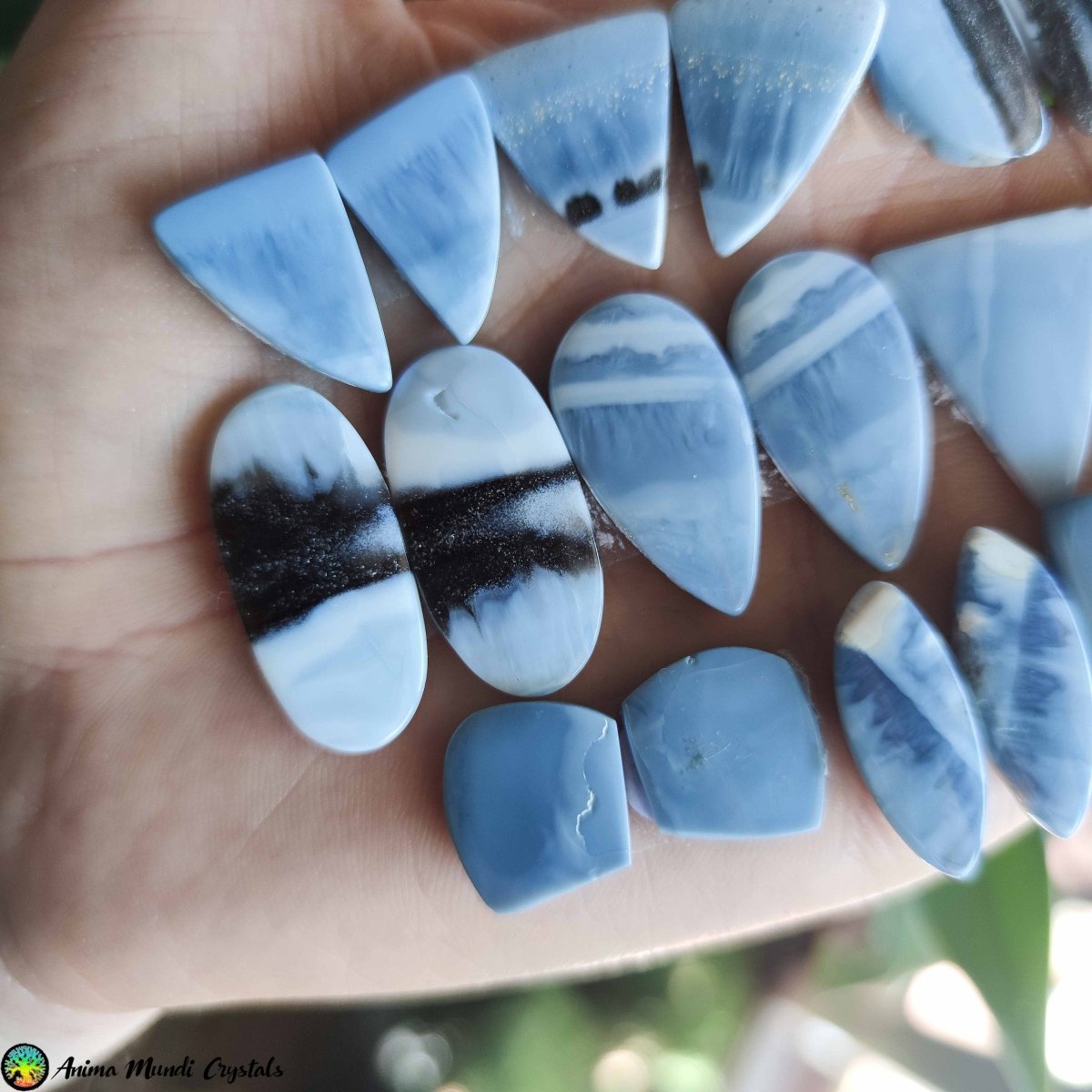 Blue Owyhee Opal Cabochon Pairs - Anima Mundi Crystals