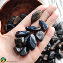 Blue Tiger Eye Tumbles - Anima Mundi Crystals