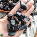 Blue Tiger Eye Tumbles - Anima Mundi Crystals