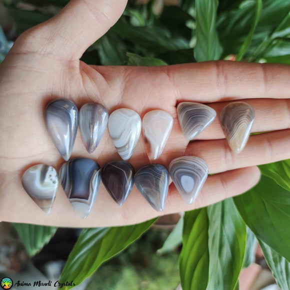 Botswana Agate Tearshape Cabochons - Anima Mundi Crystals