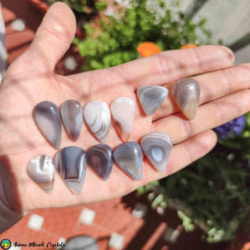Botswana Agate Tearshape Cabochons - Anima Mundi Crystals