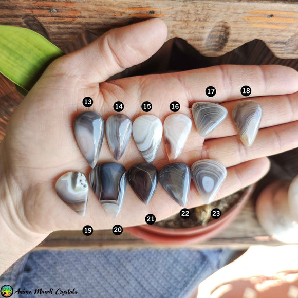 Botswana Agate Tearshape Cabochons - Anima Mundi Crystals