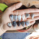 Botswana Agate Tearshape Cabochons - Anima Mundi Crystals