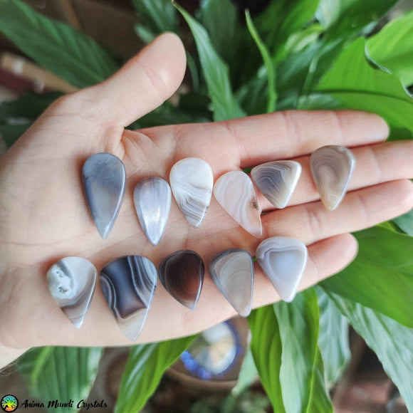 Botswana Agate Tearshape Cabochons - Anima Mundi Crystals