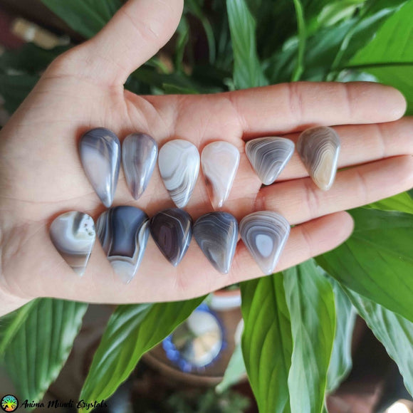Botswana Agate Tearshape Cabochons - Anima Mundi Crystals