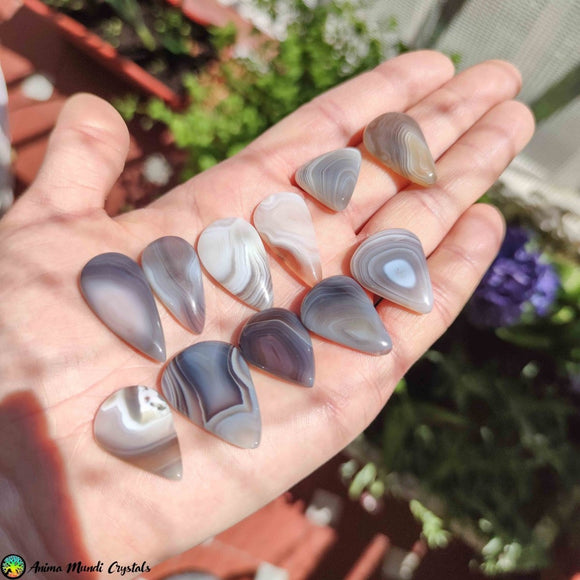 Botswana Agate Tearshape Cabochons - Anima Mundi Crystals
