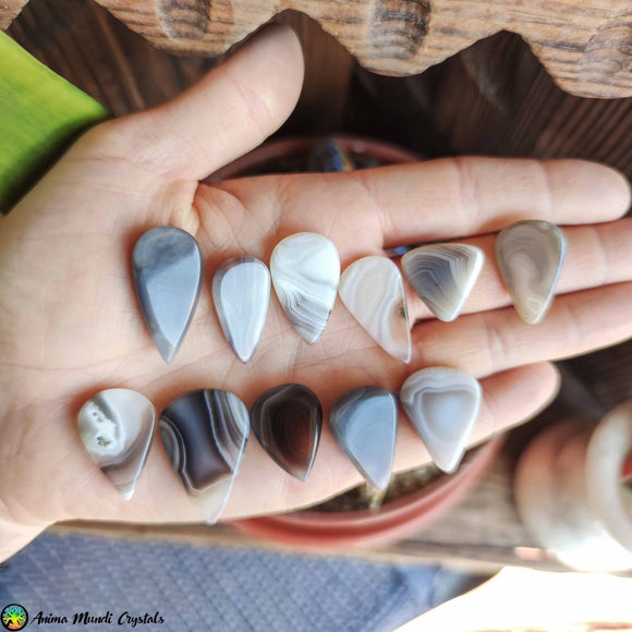 Botswana Agate Tearshape Cabochons - Anima Mundi Crystals