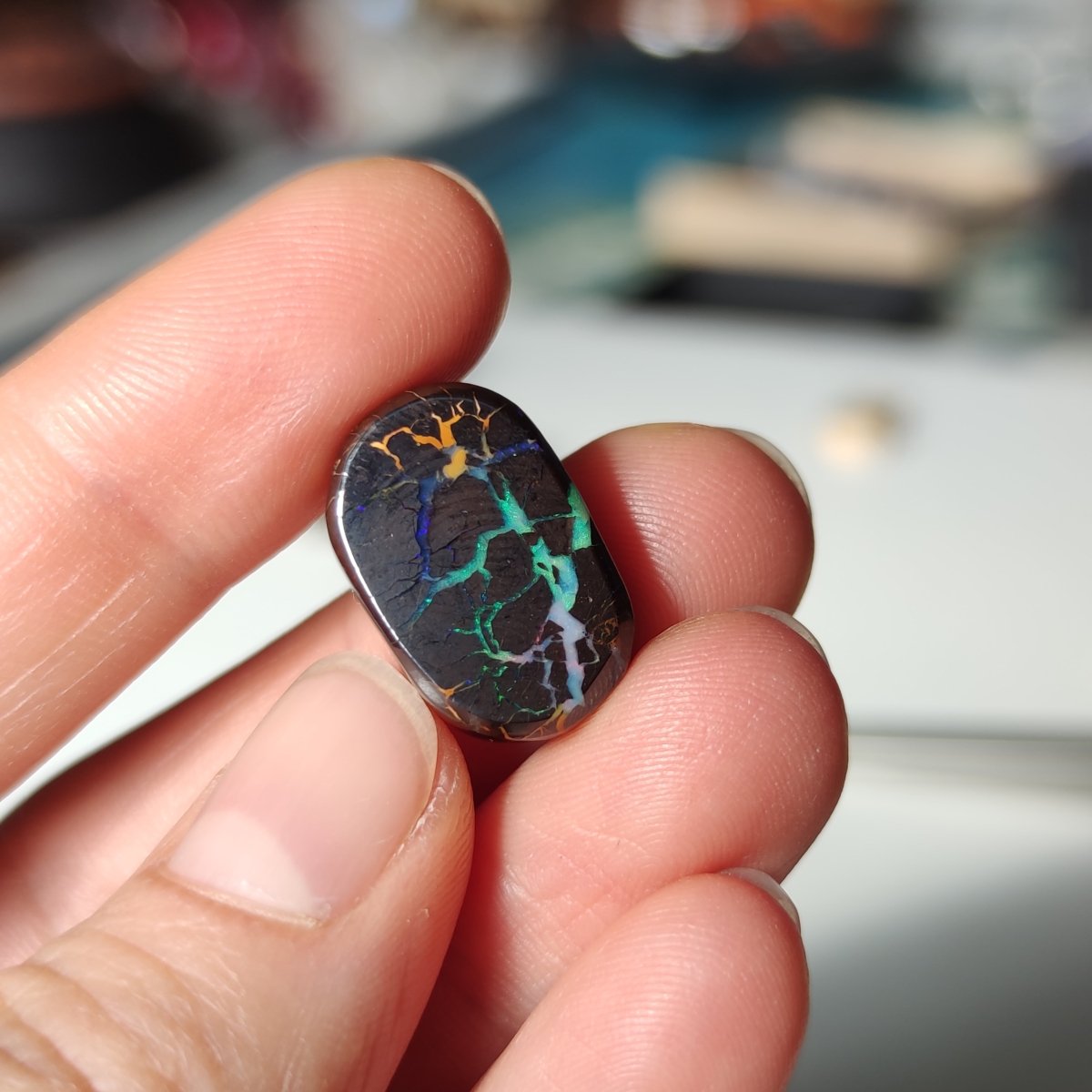Boulder Opal nr.15 - Oval - Anima Mundi Crystals