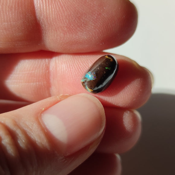 Boulder Opal nr.9 - Anima Mundi Crystals