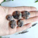 Chiastolite Andalusite Cabochons - Anima Mundi Crystals