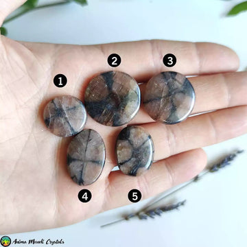 Chiastolite Andalusite Cabochons - Anima Mundi Crystals