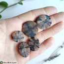 Chiastolite Andalusite Cabochons - Anima Mundi Crystals