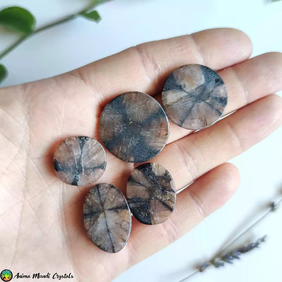 Chiastolite Andalusite Cabochons - Anima Mundi Crystals