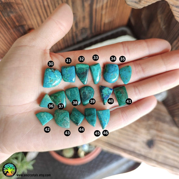 Chrysocolla Mix Shape Cabochons nr3 - Anima Mundi Crystals