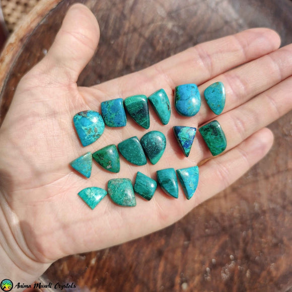 Chrysocolla Mix Shape Cabochons nr3 - Anima Mundi Crystals