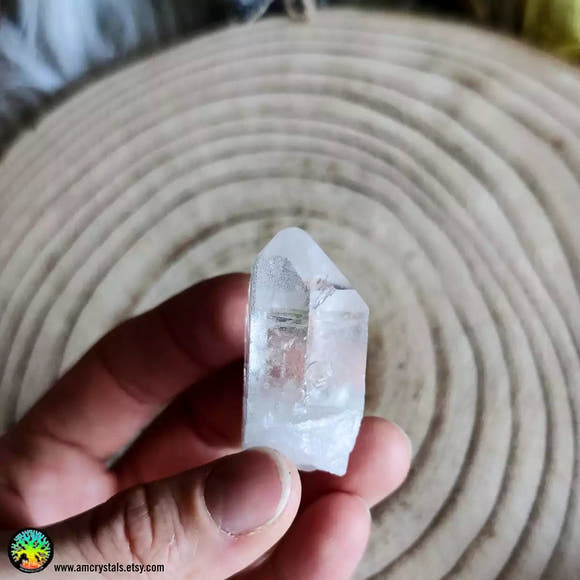 Clear Quartz Point nr.1 - Anima Mundi Crystals