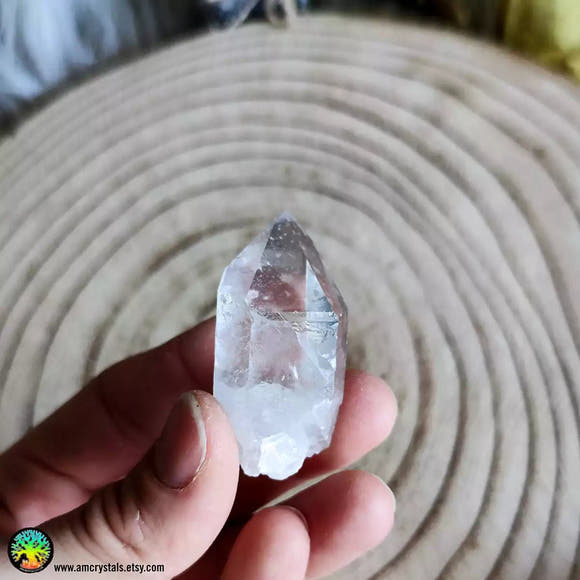 Clear Quartz Point nr.1 - Anima Mundi Crystals