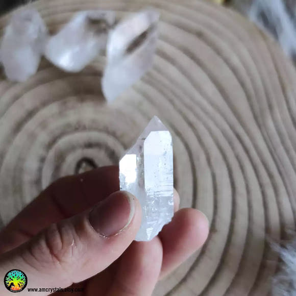 Clear Quartz Point nr.5 - Anima Mundi Crystals