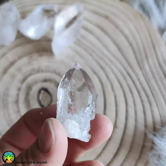 Clear Quartz Point nr.5 - Anima Mundi Crystals