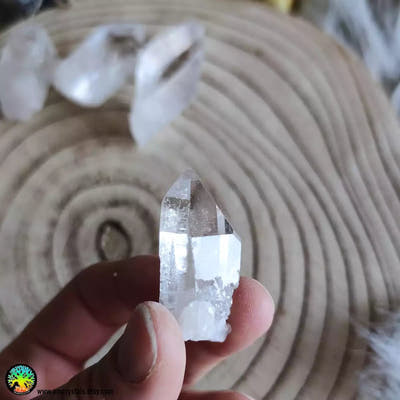 Clear Quartz Point nr.5 - Anima Mundi Crystals