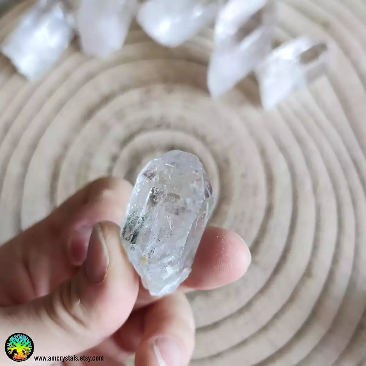 Cuarzo transparente con inclusiones de Clorita nr.6 - Cristales Anima Mundi