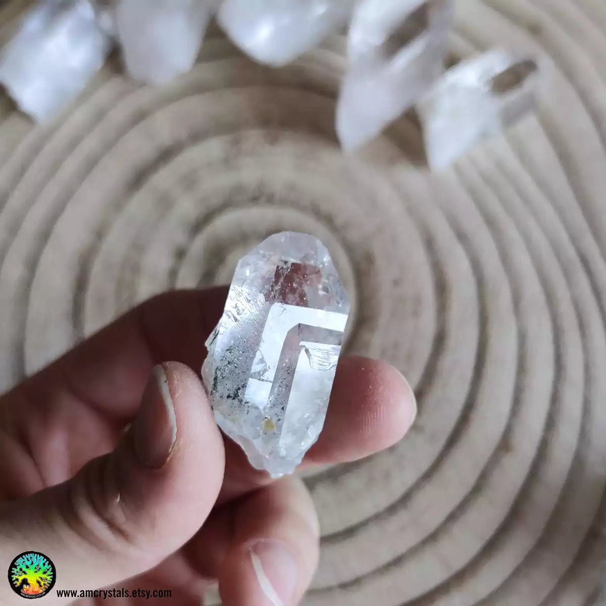 Cuarzo transparente con inclusiones de Clorita nr.6 - Cristales Anima Mundi