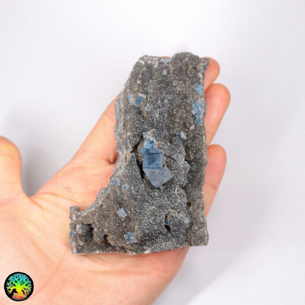 Κυβικός μπλε φθορίτης σε δείγμα μήτρας - Κρύσταλλοι Anima Mundi