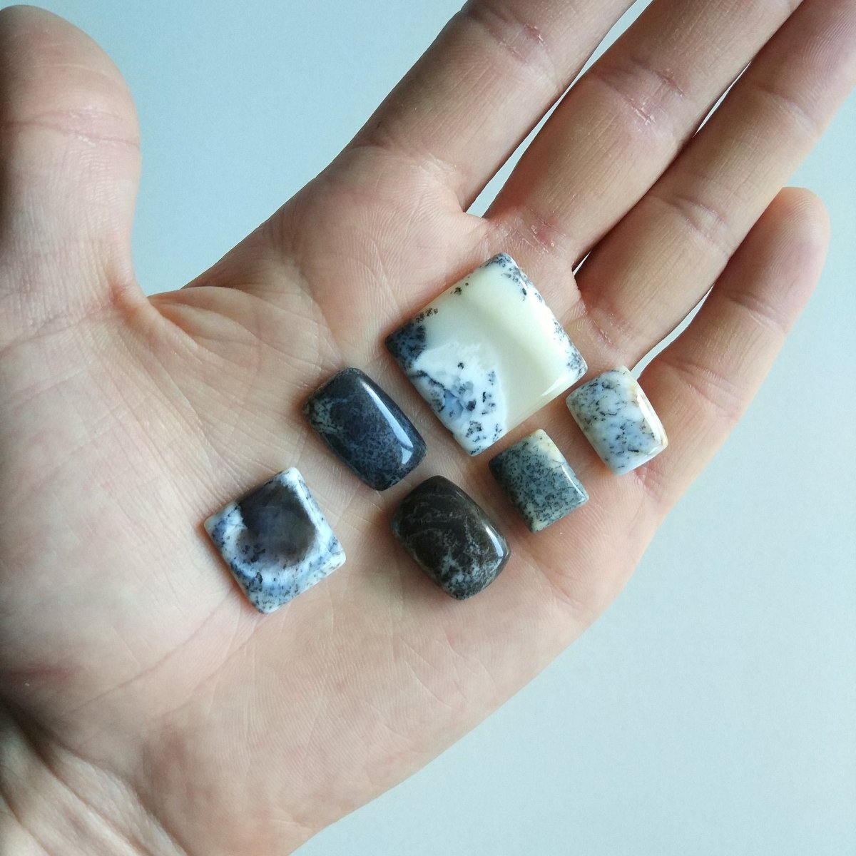 Dendritic Agate Cabochon Lot of 6 - Anima Mundi Crystals