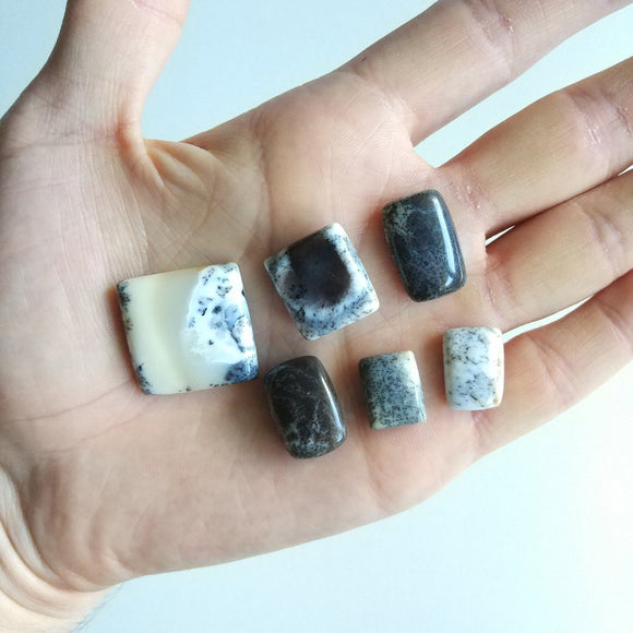 Dendritic Agate Cabochon Lot of 6 - Anima Mundi Crystals