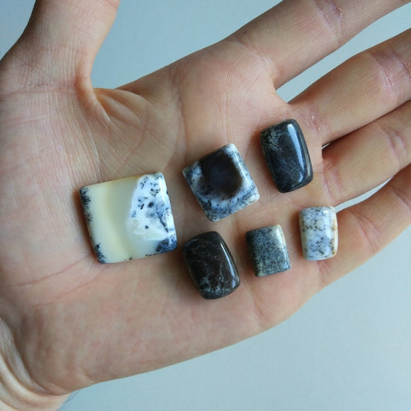 Dendritic Agate Cabochon Lot of 6 - Anima Mundi Crystals