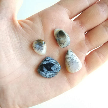 Dendritic Agate Cbochon Lot of 4 - Anima Mundi Crystals