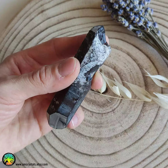 Double Terminated Smoky Quartz Point - Anima Mundi Crystals