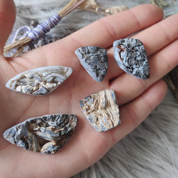 Druzy Blue-Gray Chalcedony Cabochons - Anima Mundi Crystals